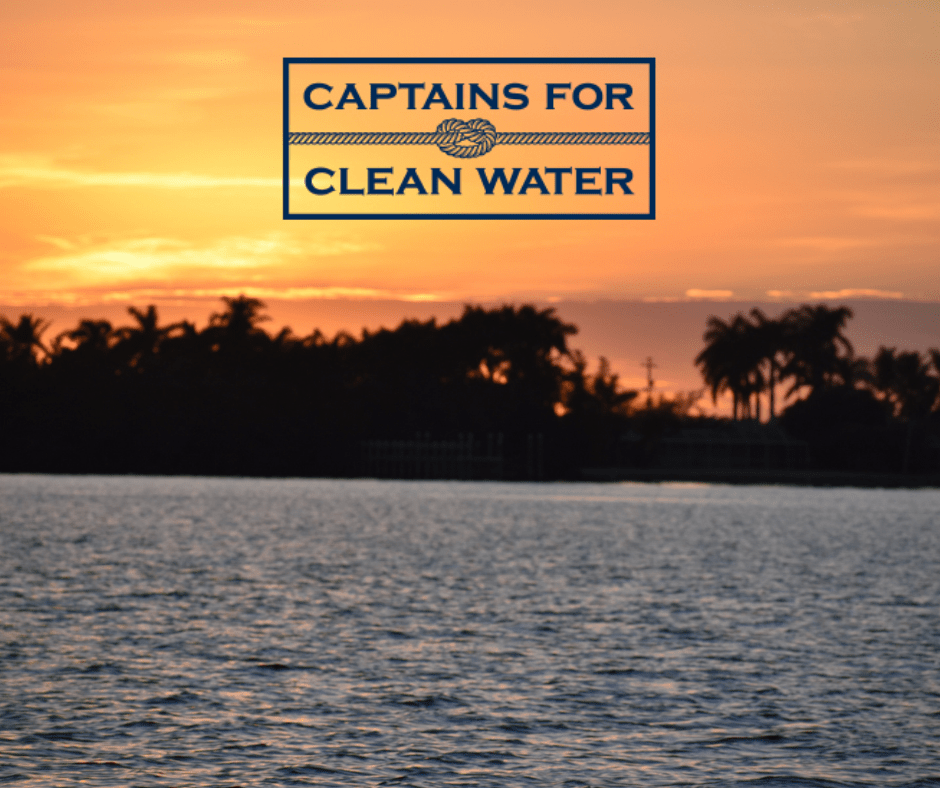 Stayput Anchors - Captains for Clean Water